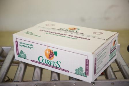 10 kg currants carton